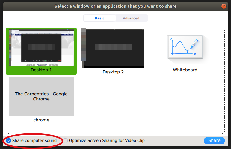 ../../../_images/zoom_screenshare_audio.png